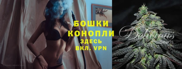 spice Горняк