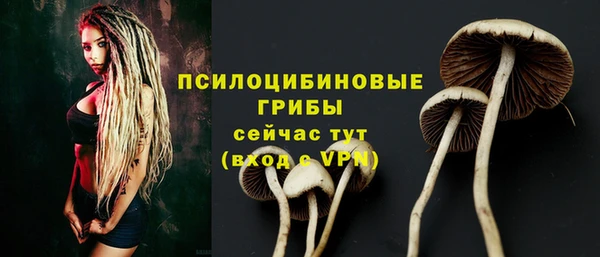spice Горняк