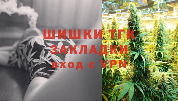 spice Горняк