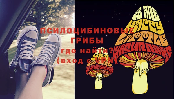 MDMA Горнозаводск
